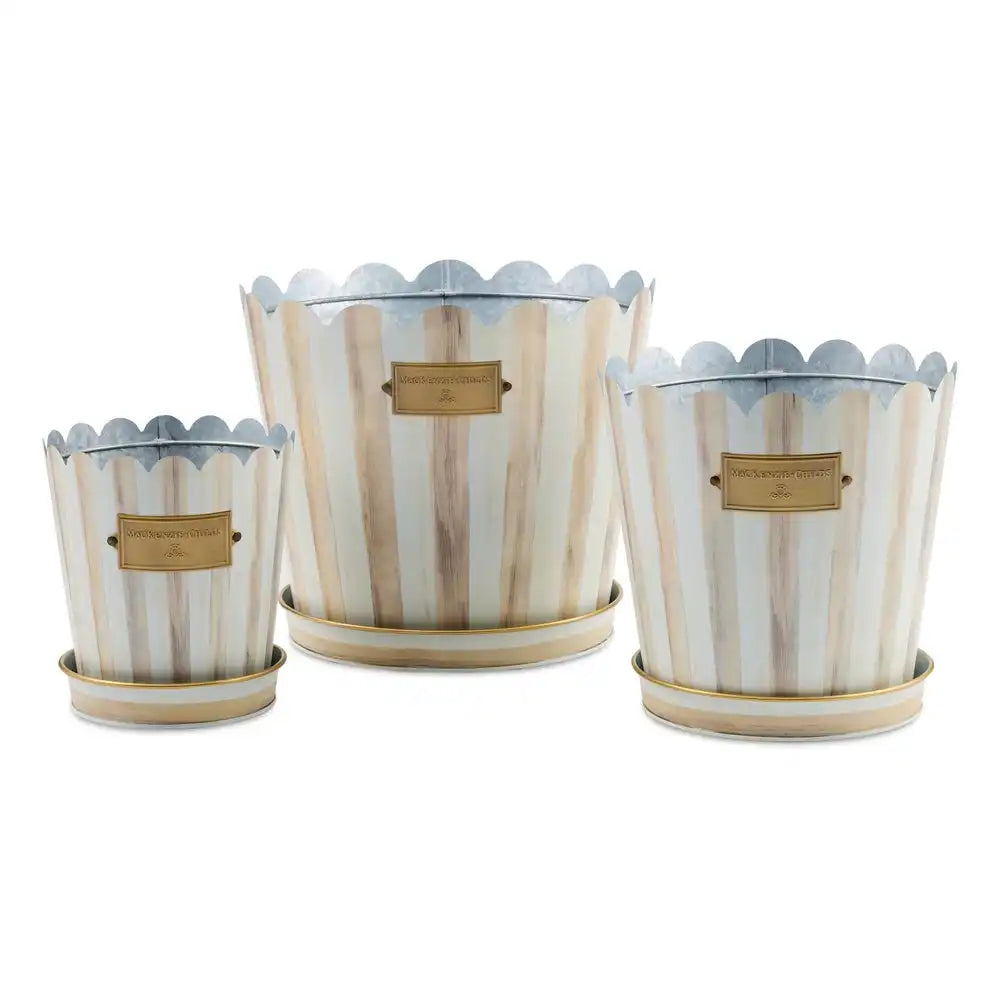 Mocha Stripe Pots & Saucers, Set of 3